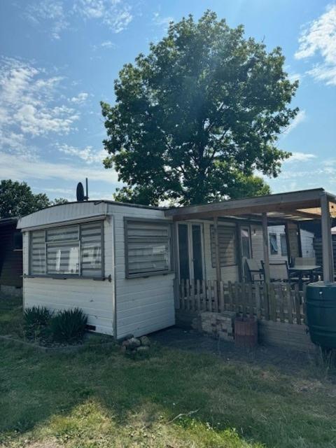 Chalet Quattro In Bosrijke Omgeving Anloo Εξωτερικό φωτογραφία